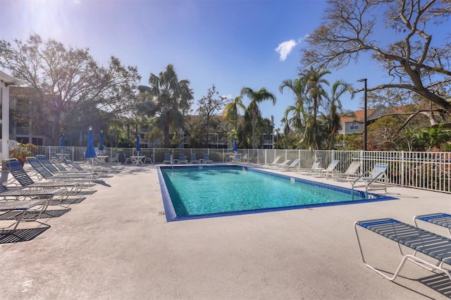 view of pool featuring a patio