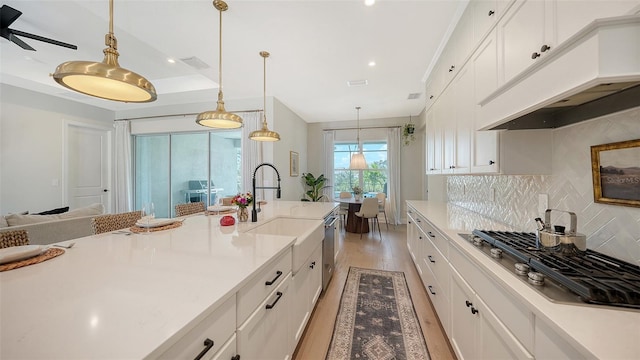 kitchen featuring light hardwood / wood-style floors, premium range hood, white cabinetry, and stainless steel appliances