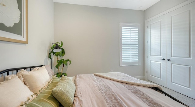 bedroom with a closet and carpet