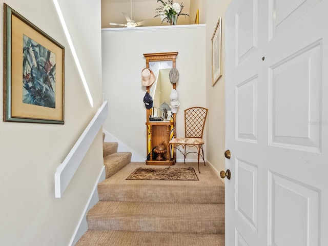 stairway with carpet and ceiling fan