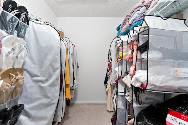 spacious closet with light colored carpet