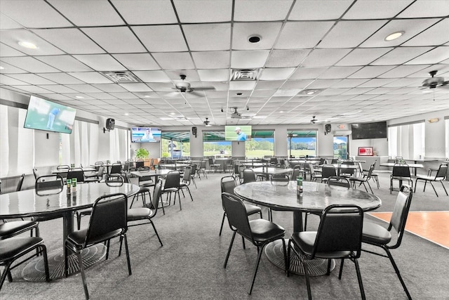 dining room with a drop ceiling, carpet floors, and ceiling fan