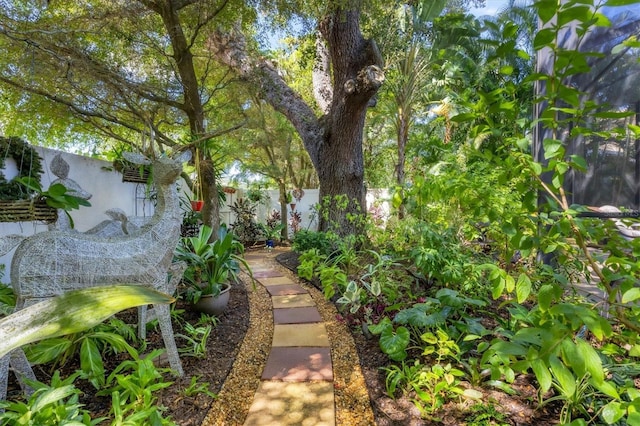 1884 Grove St, Sarasota, FL 34239 - view of fenced backyard