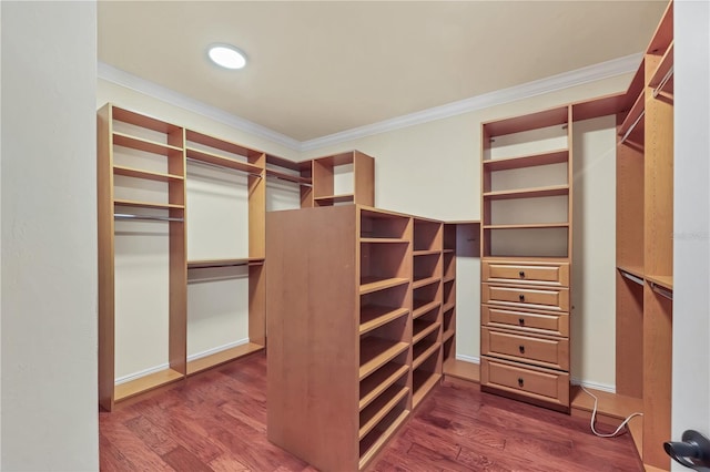 1884 Grove St, Sarasota, FL 34239 - spacious closet with dark wood-type flooring