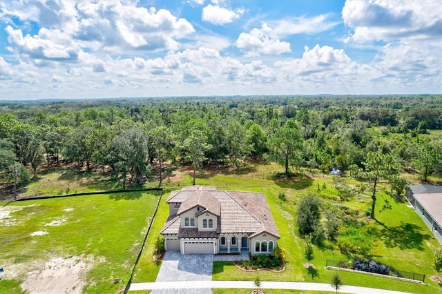 14607 Swiss Bridge Dr, Lithia, FL 33547 - birds eye view of property featuring a view of trees