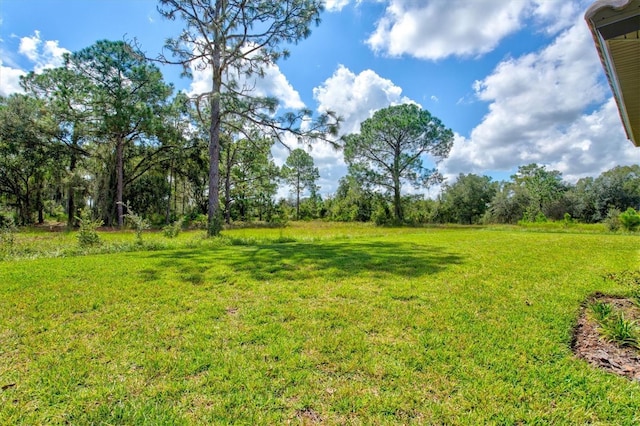 14607 Swiss Bridge Dr, Lithia, FL 33547 - view of yard