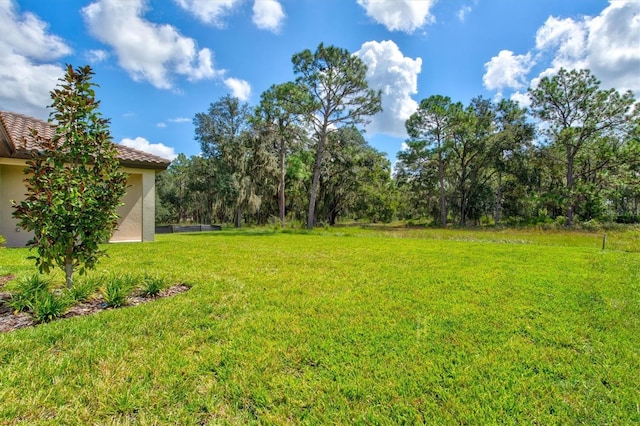 14607 Swiss Bridge Dr, Lithia, FL 33547 - view of yard