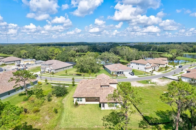 14607 Swiss Bridge Dr, Lithia, FL 33547 - aerial view with a residential view