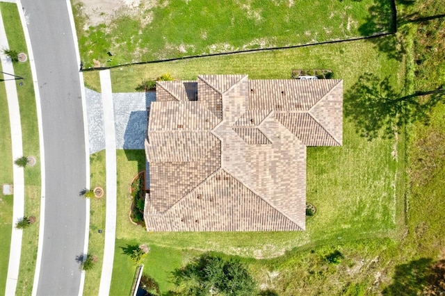 14607 Swiss Bridge Dr, Lithia, FL 33547 - birds eye view of property