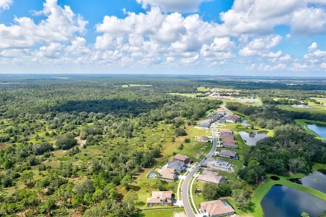 14607 Swiss Bridge Dr, Lithia, FL 33547 - drone / aerial view featuring a wooded view and a water view