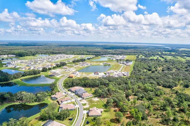14607 Swiss Bridge Dr, Lithia, FL 33547 - bird's eye view with a residential view, a water view, and a view of trees