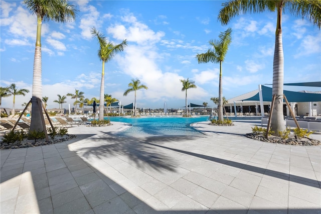 view of swimming pool with a patio area