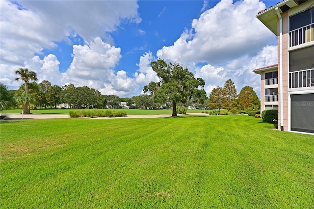 view of yard