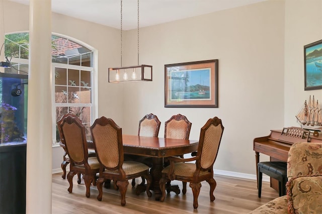 dining area featuring light hardwood / wood-style floors