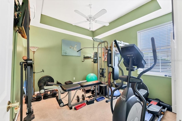 workout area with ceiling fan and carpet