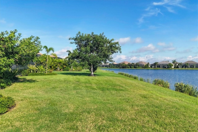 view of yard featuring a water view