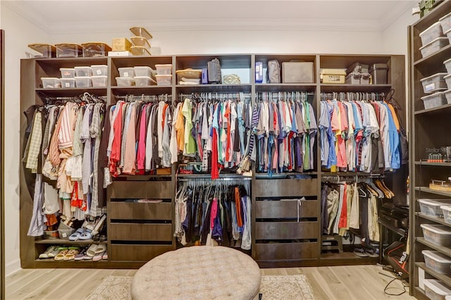 spacious closet with wood-type flooring