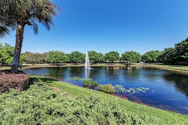 view of water feature