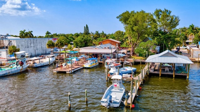 dock area with a water view