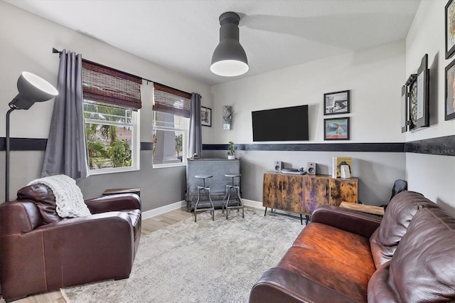 living room featuring light hardwood / wood-style flooring