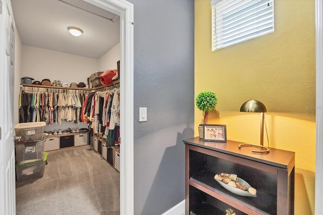 walk in closet with carpet floors