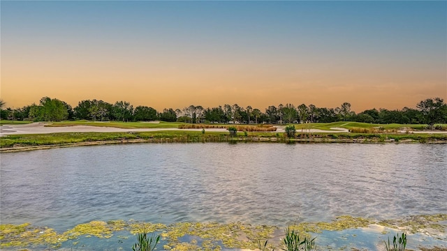 view of water feature