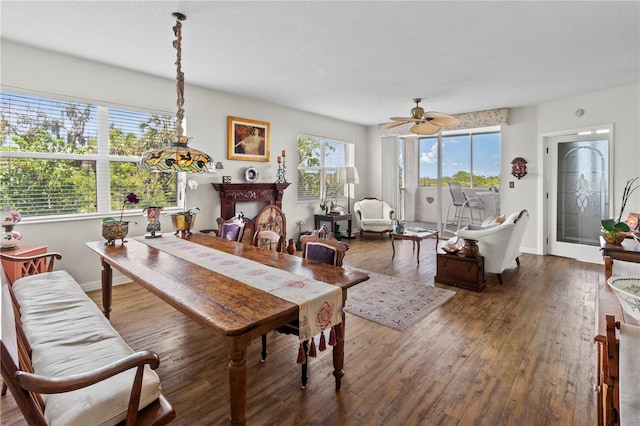 dining area with ceiling fan and dark hardwood / wood-style floors