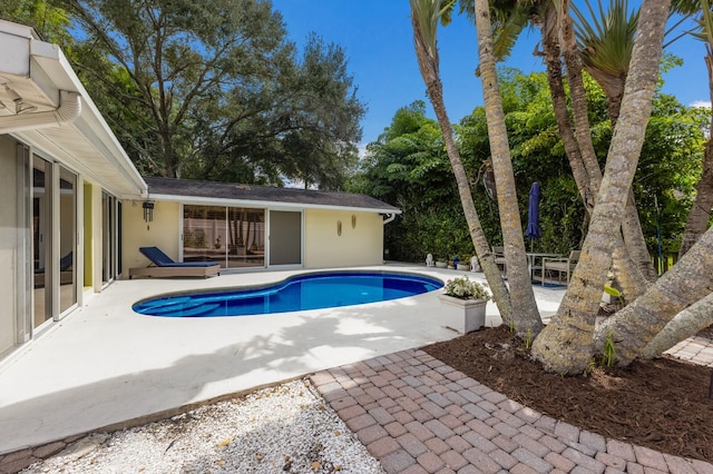 view of pool with a patio