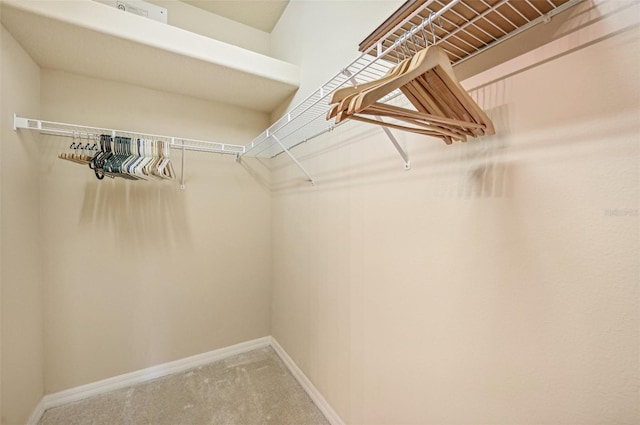 walk in closet featuring carpet flooring