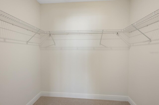 spacious closet with carpet