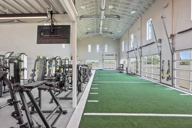 workout area featuring high vaulted ceiling and carpet floors