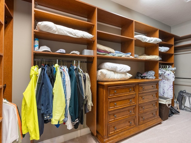 spacious closet with light carpet