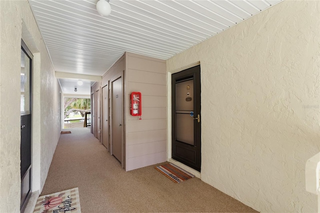 hall featuring light carpet