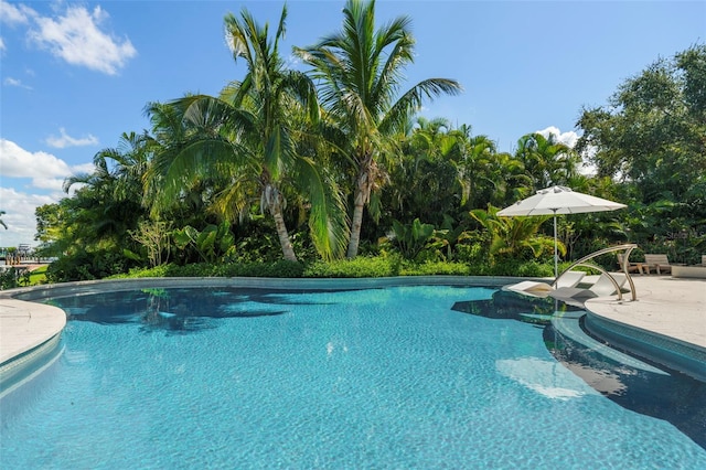 view of swimming pool with a patio