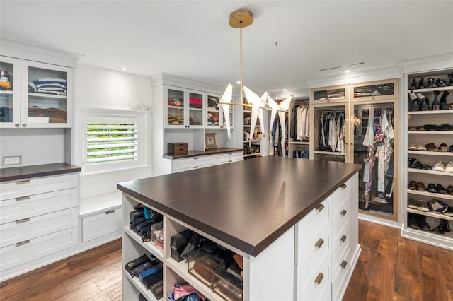 spacious closet with dark hardwood / wood-style flooring