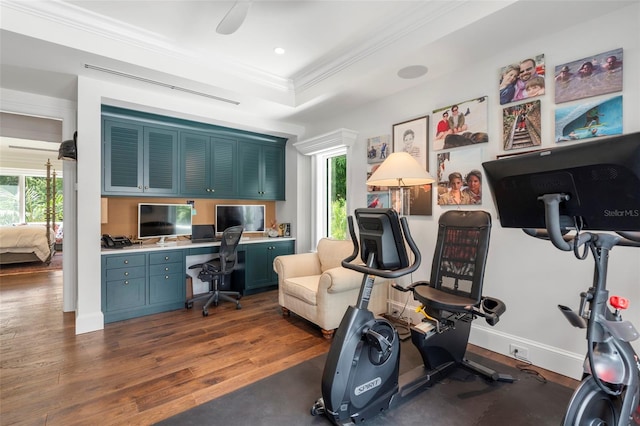 workout area with ornamental molding, built in desk, dark hardwood / wood-style floors, and a healthy amount of sunlight