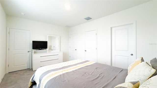 carpeted bedroom with multiple closets