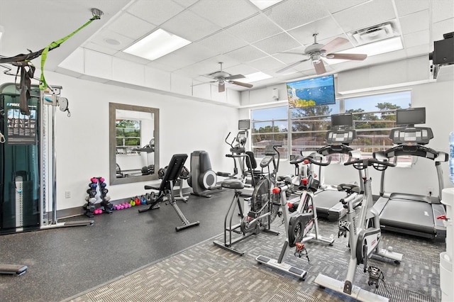 exercise room with visible vents, plenty of natural light, ceiling fan, and a drop ceiling