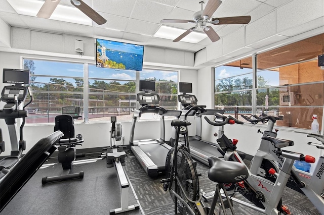 workout area featuring a drop ceiling and ceiling fan