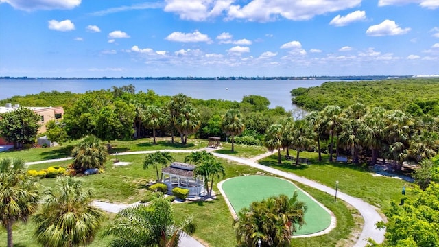drone / aerial view with a water view