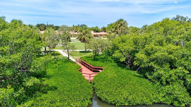 view of community featuring a water view and a lawn