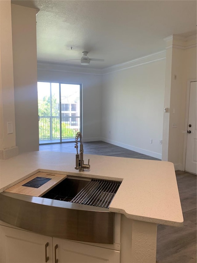 kitchen featuring a sink, white cabinets, crown molding, and wood finished floors