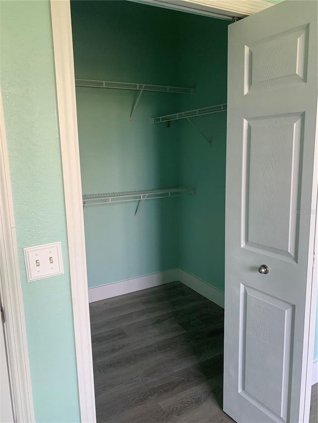 walk in closet featuring wood finished floors