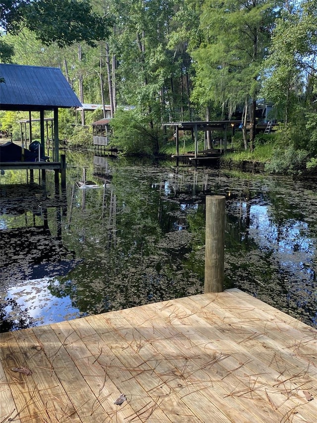 dock area with a water view