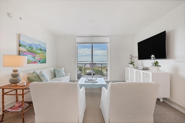 view of carpeted living room