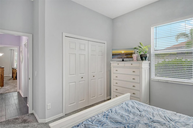 bedroom with hardwood / wood-style floors, a closet, and multiple windows