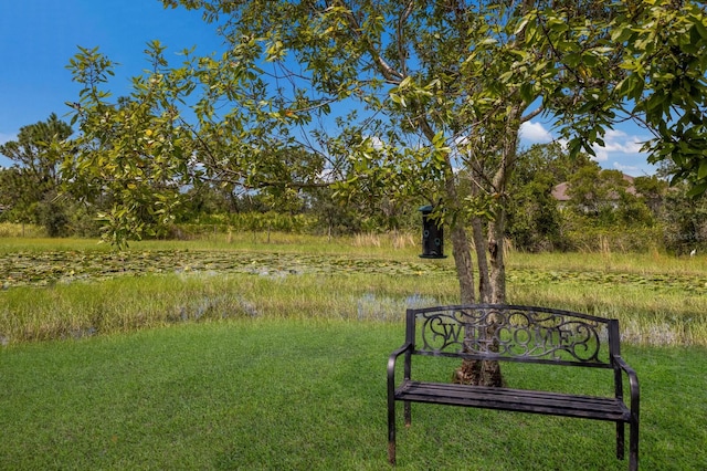 view of home's community with a water view and a yard