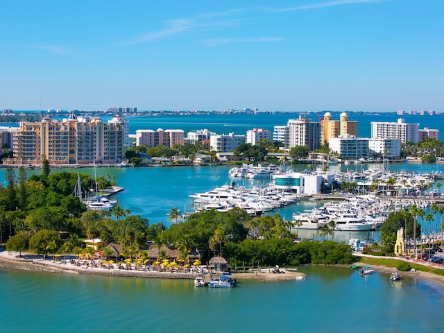 drone / aerial view with a view of city and a water view