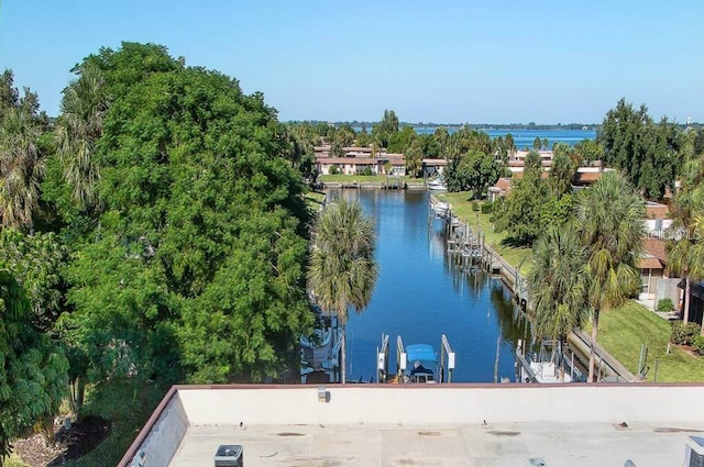 water view with a dock