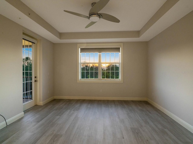 empty room with plenty of natural light, a tray ceiling, and light hardwood / wood-style flooring